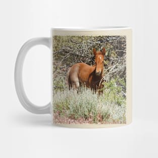 Wild Horse, foal, wildlife, Precious Babe Mug